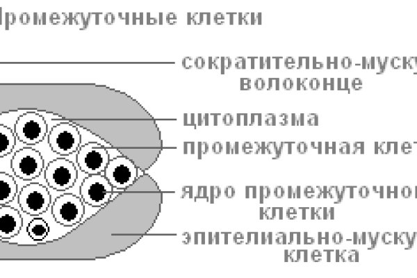 Короткая ссылка на кракен